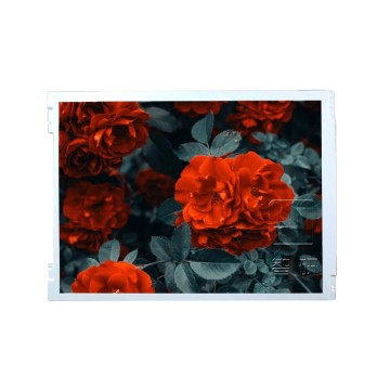 23.6 Inch 1920x1080 M236HJJ-L31 TFT LCD Screen Module Display Panel