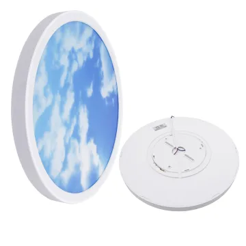 24W/28W/38W/48W Slim Edge LED Ceiling Light - Backlit Panel