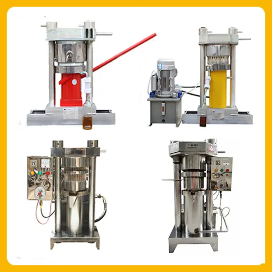 Made in China Cold Pressolive Oil Extraction Machine and Sunflower Oil Press Machine