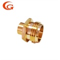 Acoplamientos personalizables sin plomo macho NPT de alta calidad