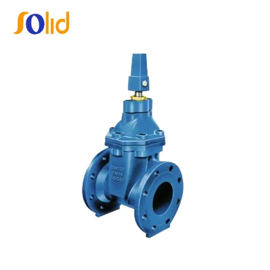 BS5163 Soft Seal Non Rising Stem Resilient Seated Gate Valve