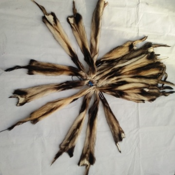 China factory wholesale fitchew fur mustela eversmanni fur
