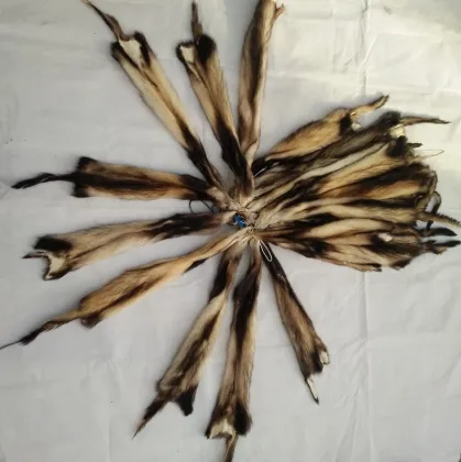 Wholesale Soft Fitch fur Tanned Ferrets Fur  Fitch Pelt