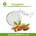 amygdalin 98 ٪ بذور المشمش المريرة استخراج مسحوق VB17