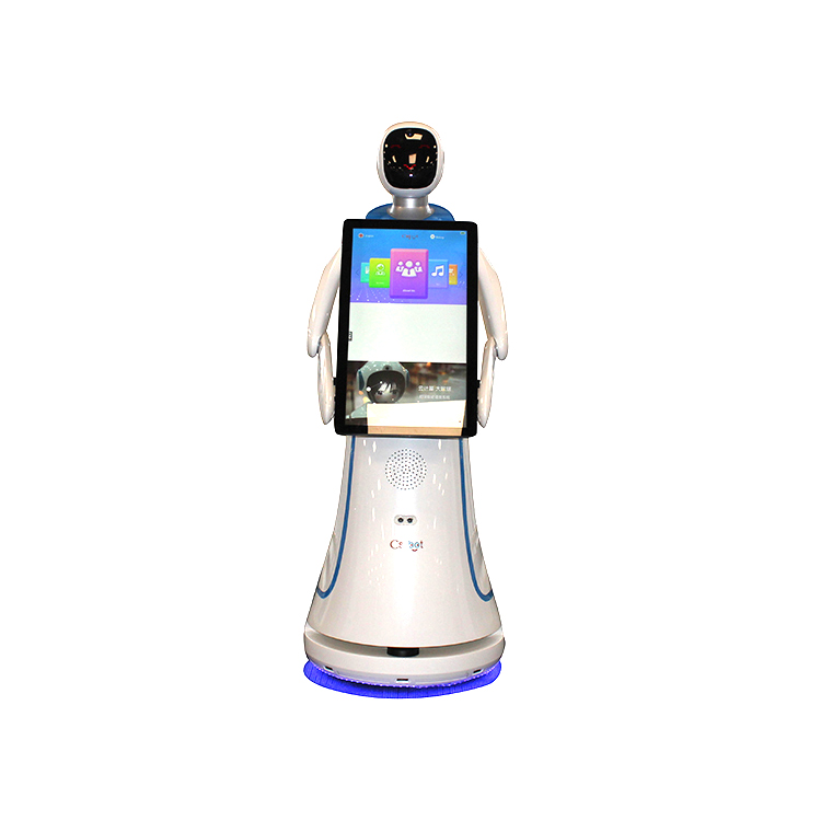 Interactive Service Robot