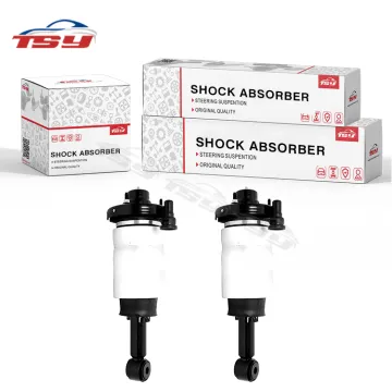 Wholesale High-Quality OE 8L1Z5A891B Shock Absorber for Lincoln
