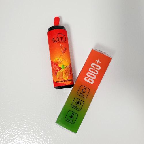 Fluum Bar 6000 퍼프 일회용 vape 장치 두바이