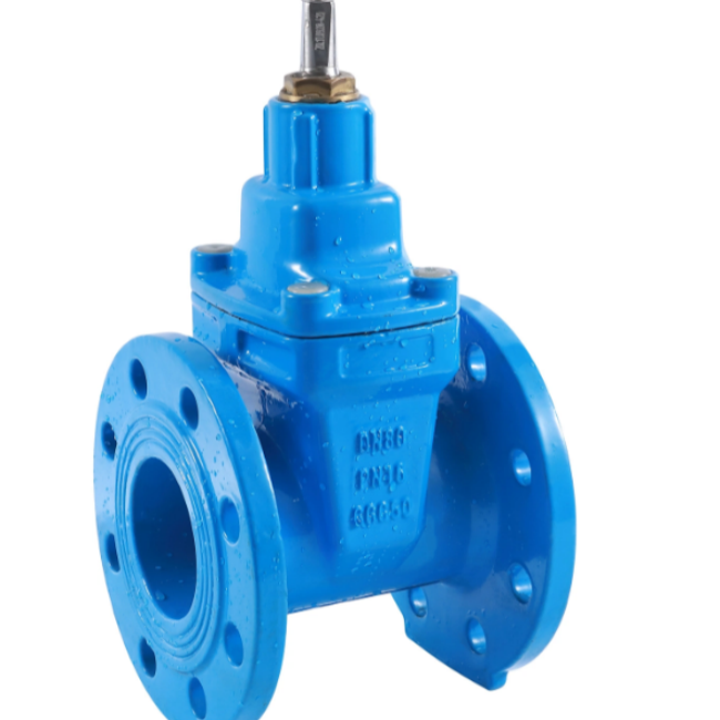 Resilient Seated Non-Rising Stem Gate Valve