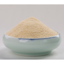 Spicy garlic dehydrated 40-80 mesh