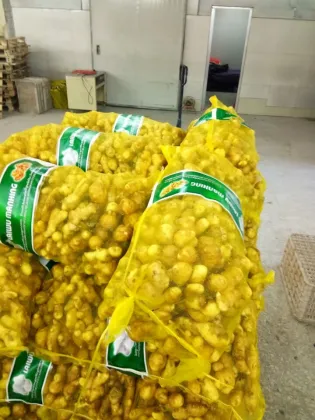 Selected Fresh Air Dry Ginger