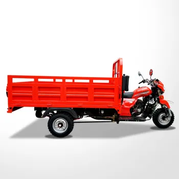 Guangzhou Fenghao Heavy Loading 200CC/250CC/300CC Three Wheeler Tricycle Cargo Motorcycle CCC Origin Open