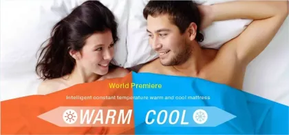 Custom Heating and Cooling Bed Mattress System