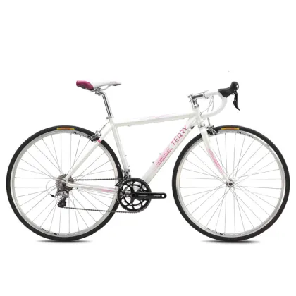 Terry Tailwind 700 Women's Road Bike - 2013