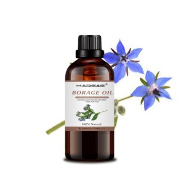 wholesale bulk cistom label natural borage seed oil massage