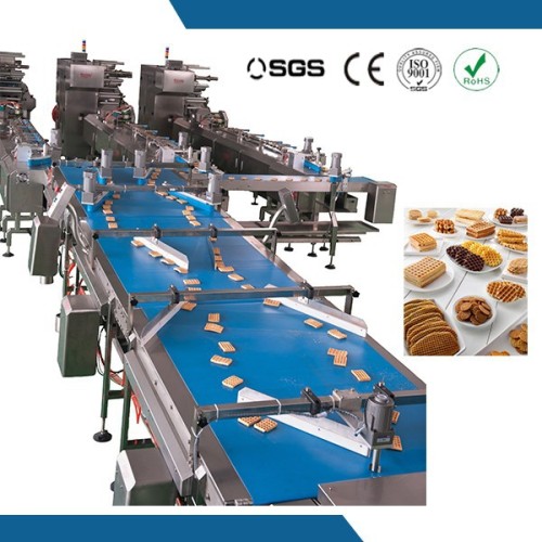 Capsule Counting Feeding Packing Production Line