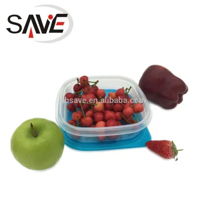 Square Disposable Foodsaver 6058