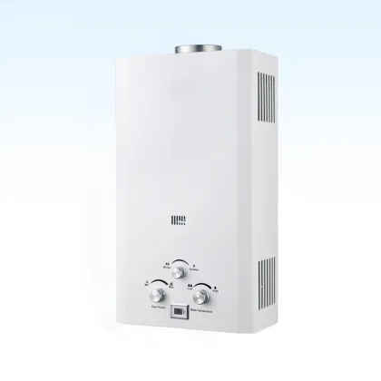 High Quality Junkers LPG NG Propane Instant Gas Water Heater