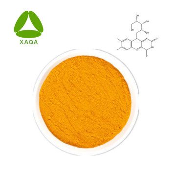 Food Grade 98% Riboflavin / Vitamin B2 Powder