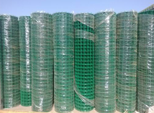 Professional Galvanized Welded Wire Mesh