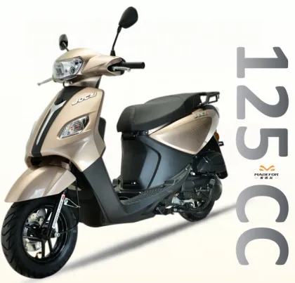 Best 2 Cylinder 50CC & 125CC Gas Scooters for Professional Use