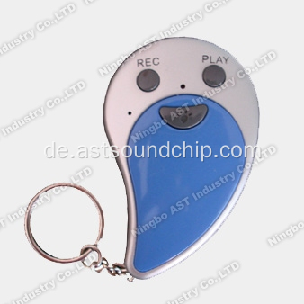 Schlüsselbund, Schlüsselanhänger, Voice Keychain, beschreibbare Schlüsselanhänger