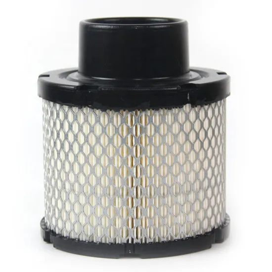 Air Filter AF26186 / 1403829: Replacement and Maintenance Guide