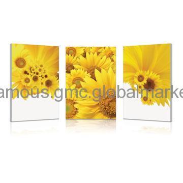 Decorative Picture for Resort Wall 60*90cm