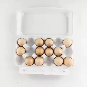 Biodegradable Pulp Egg Cartons with Custom Logo