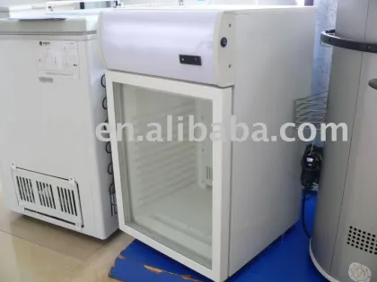 Counter top refrigerator