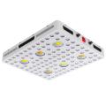 Phlizon Cree CXB3590 Pflanzen wachsen LED-Licht