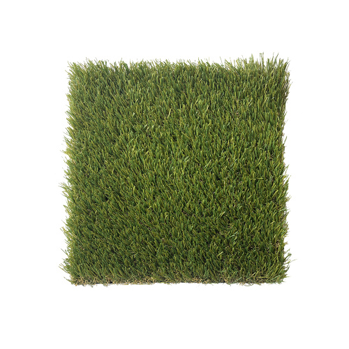 ນິຍົມຫຍ້າທຽມສໍາລັບສວນ