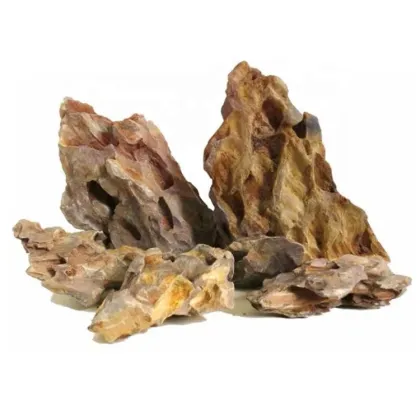 Natural Greenosis Seiryu Rock Stone Dragon for Aquarium Decoration