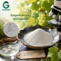 Ampelomyces Quisqualis مسحوق فطريات مكافحة البياض الدقيقي