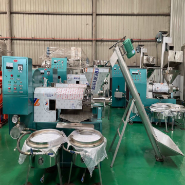 Sunflower, Grape Seed, Peanut, and Coconut Oil Cold Press Machine: An Efficient Oil Mill Making Pressing & Extracting Solution