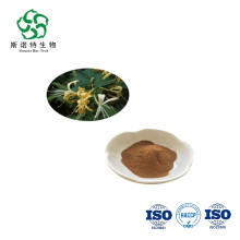 Honeysuckle Flower Extract Chlorogenic acid 5%-25%