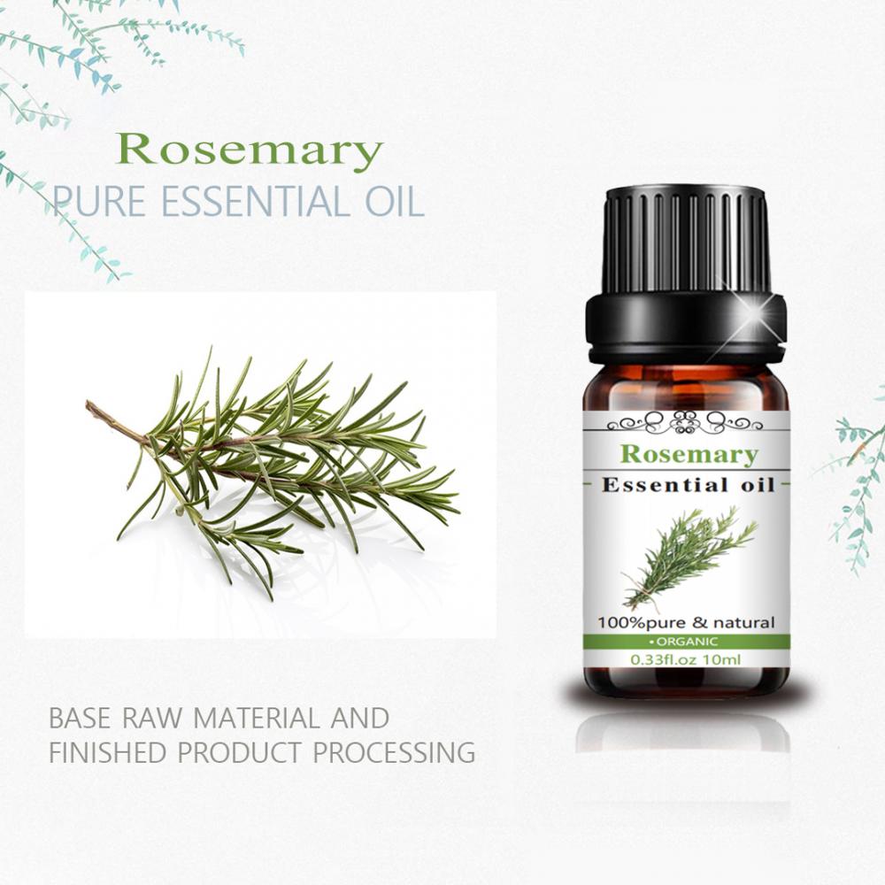 Étiquette privée biologique Essential Rosemary Oil Essential de haute qualité