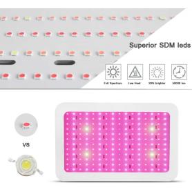 The Led grow light for Plant