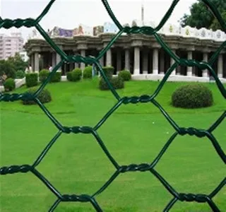 PVC Coated Hexagonal Wire Mesh