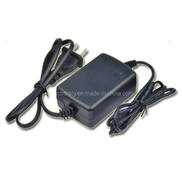 2 a Switching Power Adapter 24W and 12V DC Euro Plug, UK Plug and American Plug for Your Optional. (PS-24-12DH)