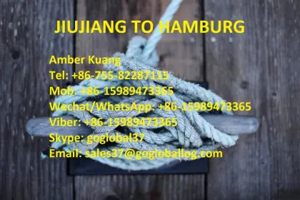 Jiangxi Jiujiang Sea Freight to Germany Hamburg