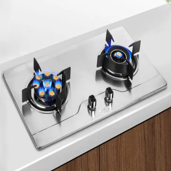 Stainless Steel Embedded Dual Gas Stove