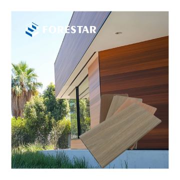 Affordable Waterproof WPC Siding Panels for Exterior and Ceiling