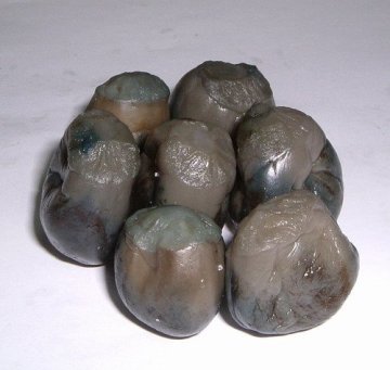 Salted Minden Nasu 673