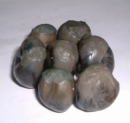 Salted Minden Nasu 673