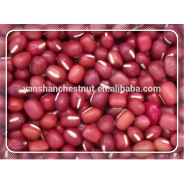 Adzuki Beans Small Red Kidney Beans