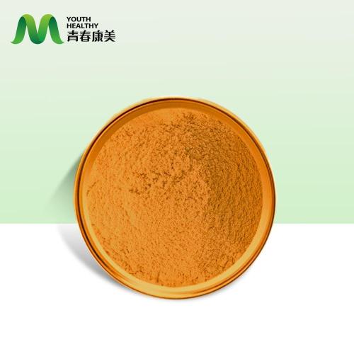 Premium liposomalny koenzym Q10 dla wsparcia zdrowia