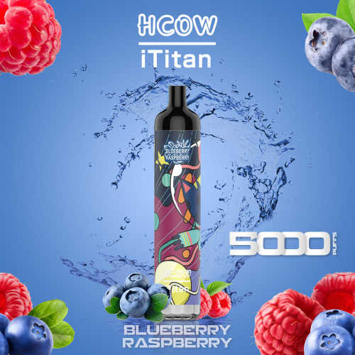 Wholesale HCOW iTitan 5000puffs Rechargeable Disposable Vape