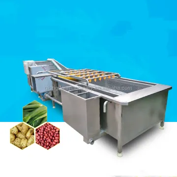 Industrial Bubble Washing Machine for Fruits and Vegetables
