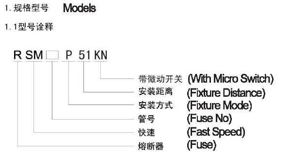 RSM01P51KN FUSE (1)