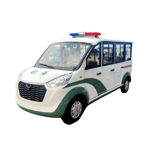 Closed 8-seat petrol sightseeing car